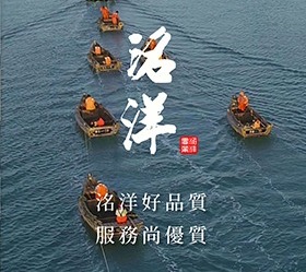 洺洋海藻貼紙